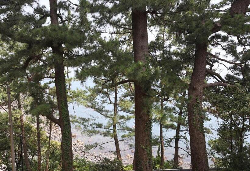 带海景的高档三人间, Isana Resort