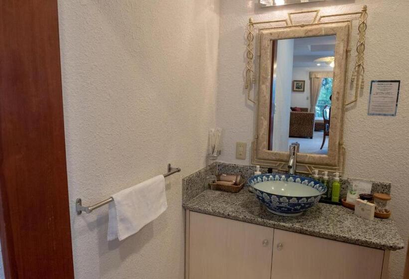 高级套房, Isana Resort