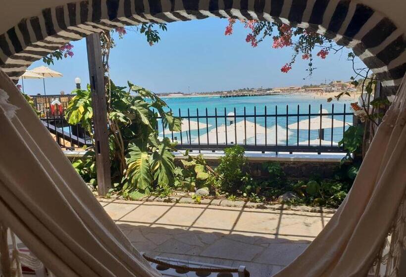 اتاق استاندارد با چشمانداز دریا, Odjo D Agua