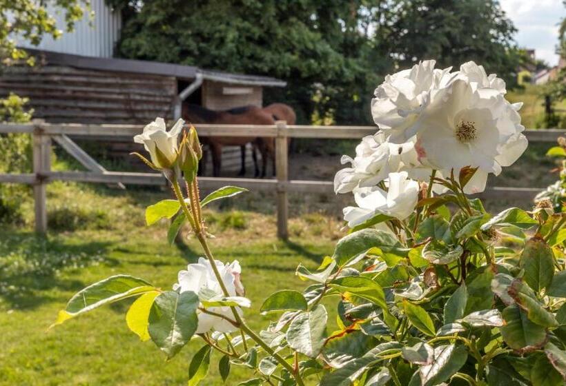 Номер Стандарт, B&b Hostellerie Marie