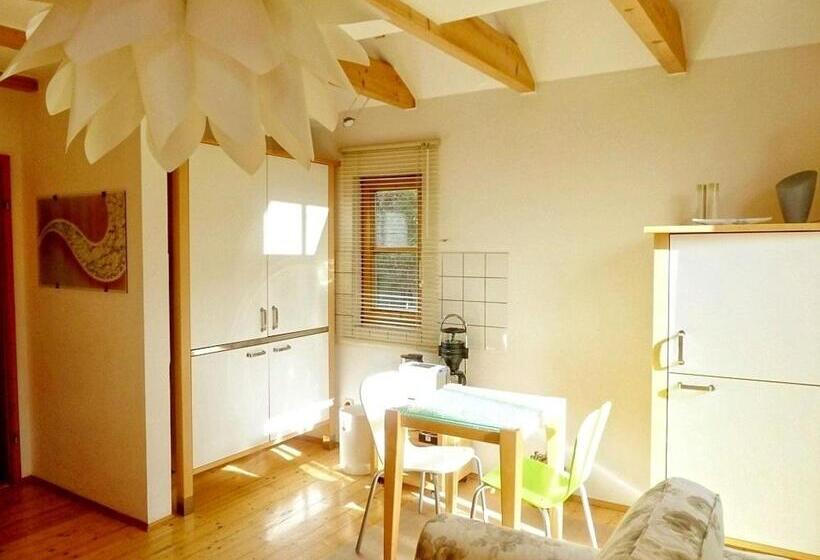 Апартаменты 1 Спальня с Террасой, Walhalla Hotel Regensburg Hoeferer 4 Sterne Superior