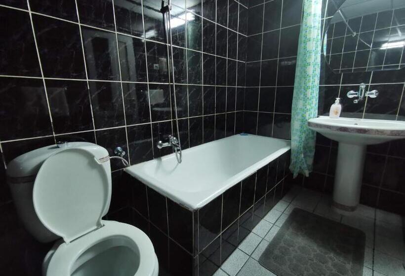 Номер Стандарт, Pensiunea Stefan