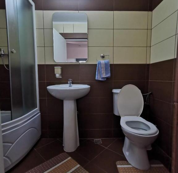 Номер Стандарт, Pensiunea Stefan