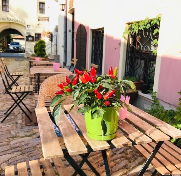 آپارتمان 2 خوابه, Boutique Apartments U Rolanda, Mikulášské Náměstí