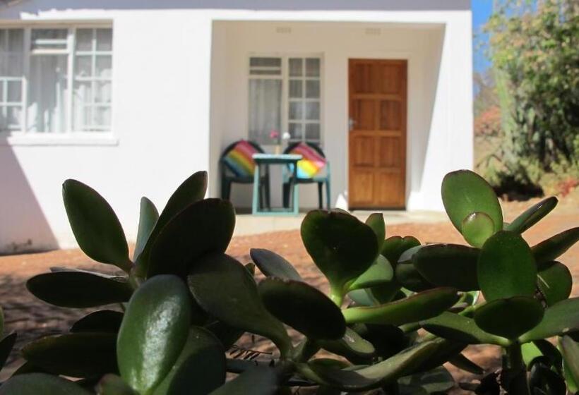 استودیوی لوکس, Swinburn’s Rest