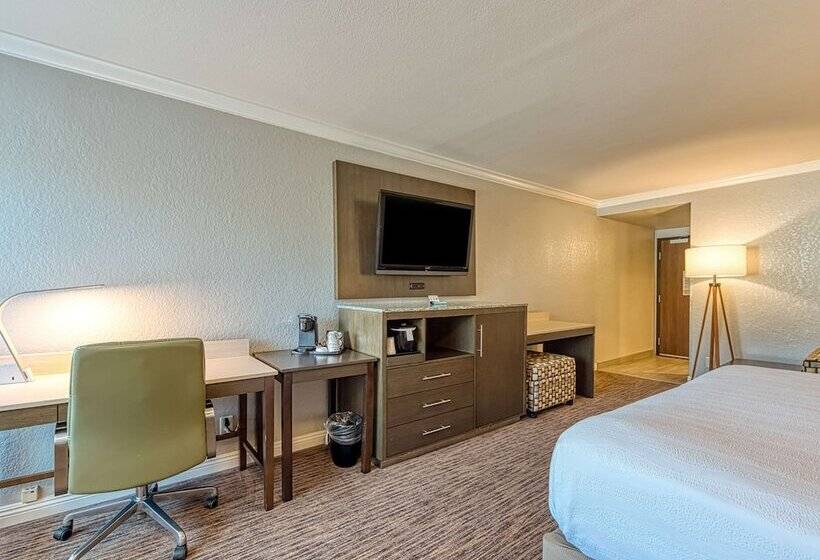 标准间带双人床, Amanzi Hotel, Ascend Hotel Collection