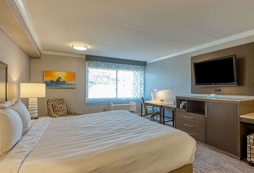 标准间带双人床, Amanzi Hotel, Ascend Hotel Collection