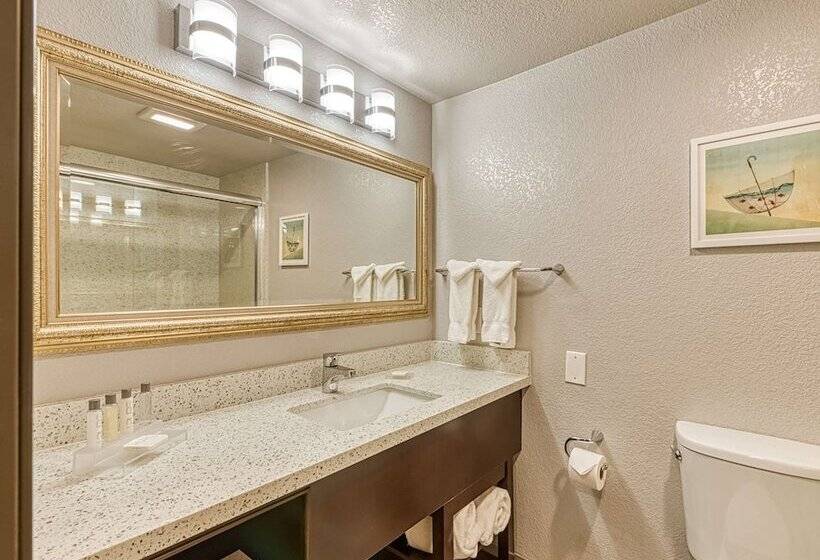 标准间带双人床, Amanzi Hotel, Ascend Hotel Collection