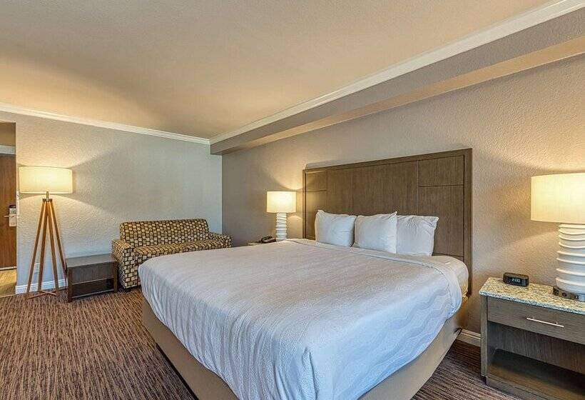 标准间带双人床, Amanzi Hotel, Ascend Hotel Collection