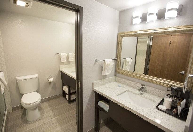 带2个双人床的标准工作室, Amanzi Hotel, Ascend Hotel Collection