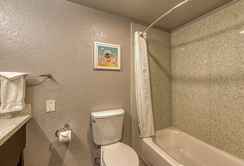 带2个双人床的标准工作室, Amanzi Hotel, Ascend Hotel Collection