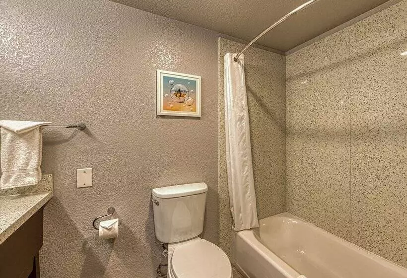 اتاق استاندارد با 2 تخت دوبل, Amanzi Hotel, Ascend Hotel Collection