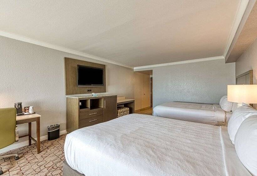 带2个双人床的标准工作室, Amanzi Hotel, Ascend Hotel Collection