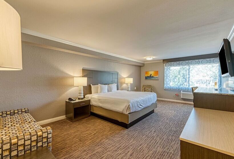 标准间带双人床, Amanzi Hotel, Ascend Hotel Collection