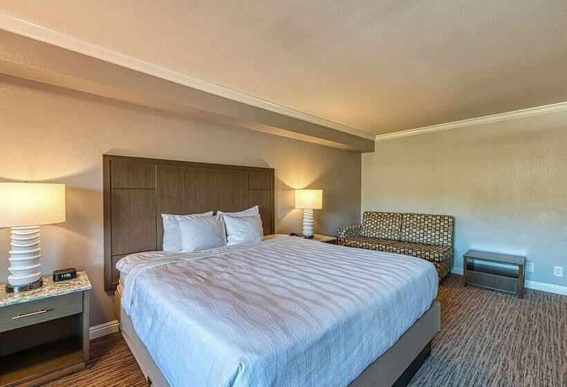 标准间带双人床, Amanzi Hotel, Ascend Hotel Collection