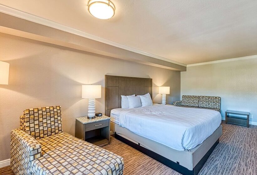 标准间带双人床, Amanzi Hotel, Ascend Hotel Collection