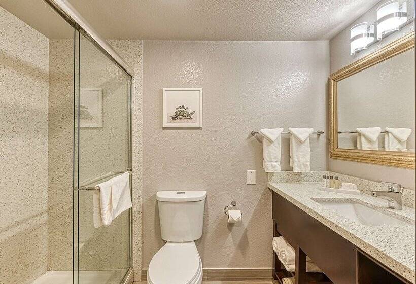 标准间带双人床, Amanzi Hotel, Ascend Hotel Collection