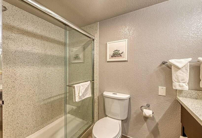 标准间带双人床, Amanzi Hotel, Ascend Hotel Collection