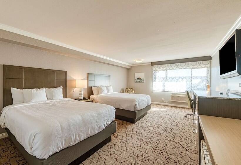 带2个双人床的标准工作室, Amanzi Hotel, Ascend Hotel Collection