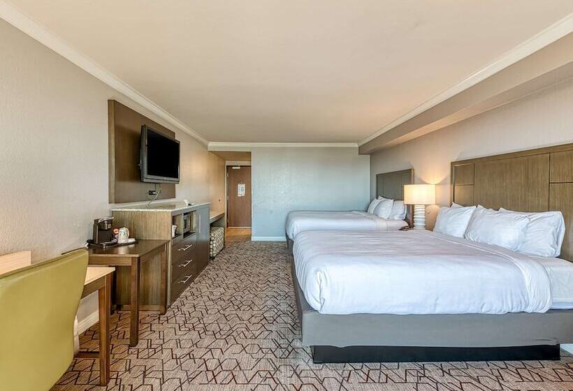 带2个双人床的标准工作室, Amanzi Hotel, Ascend Hotel Collection