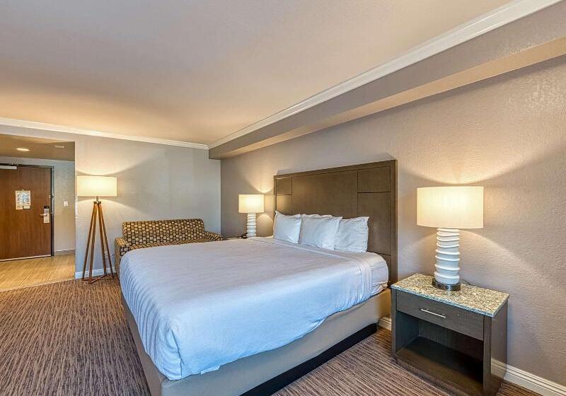 适合残疾人士使用的带超级大床的标准间, Amanzi Hotel, Ascend Hotel Collection