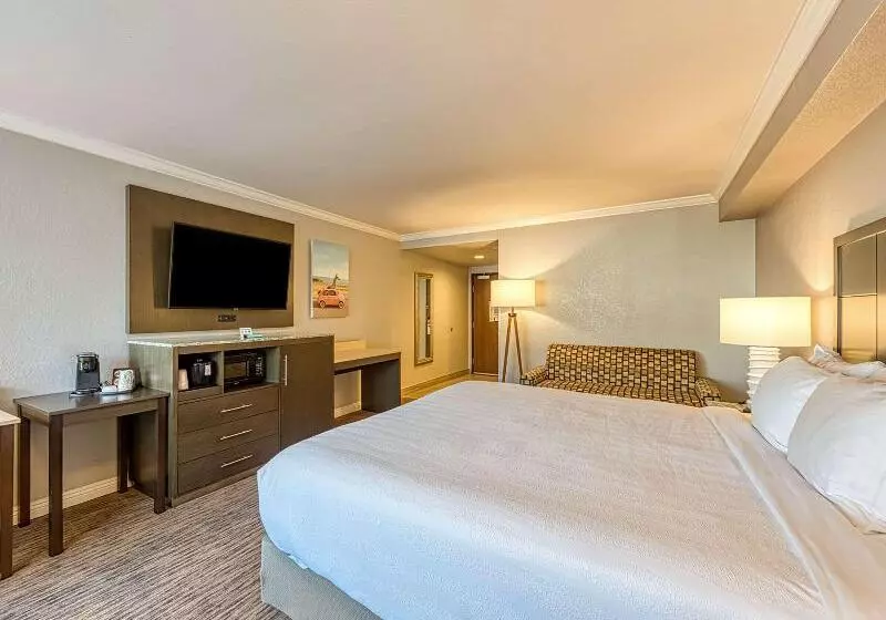 اتاق استاندارد با تخت بزرگ برای معلولان, Amanzi Hotel, Ascend Hotel Collection