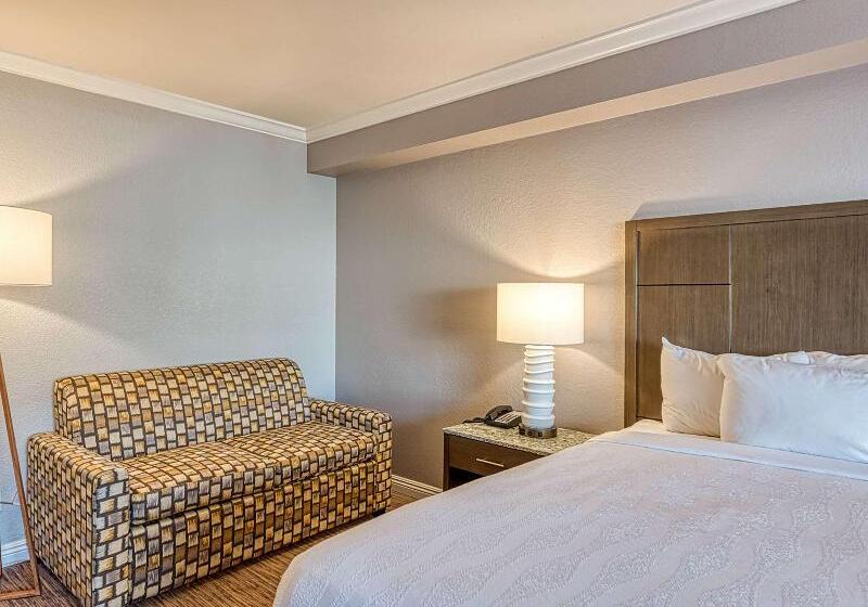 适合残疾人士使用的带超级大床的标准间, Amanzi Hotel, Ascend Hotel Collection