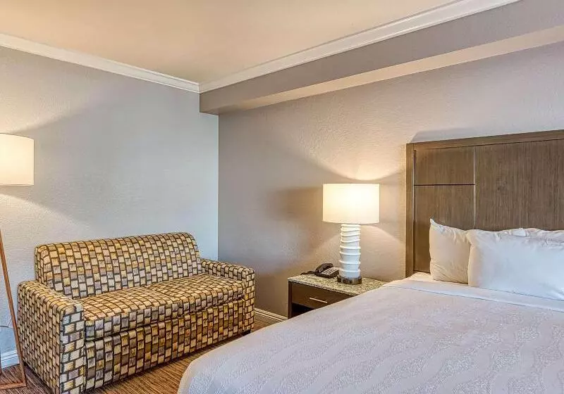 اتاق استاندارد با تخت بزرگ برای معلولان, Amanzi Hotel, Ascend Hotel Collection