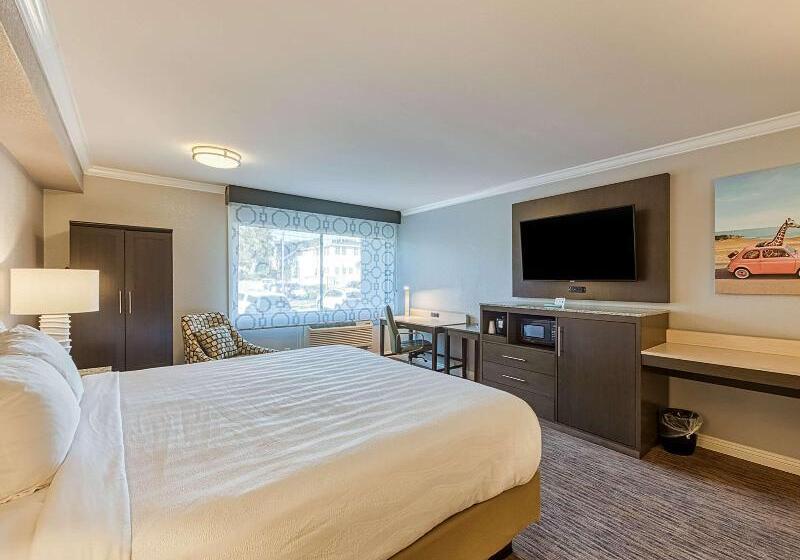 Номер Стандарт Кровать Кинг Адаптированный для Инвалидов, Amanzi Hotel, Ascend Hotel Collection