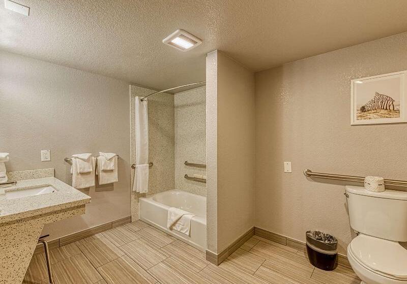 适合残疾人士使用的带超级大床的标准间, Amanzi Hotel, Ascend Hotel Collection