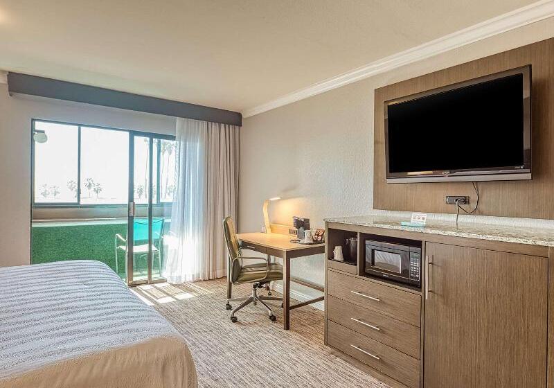 带大床的标准间, Amanzi Hotel, Ascend Hotel Collection