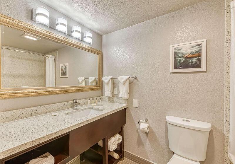 带大床的标准间, Amanzi Hotel, Ascend Hotel Collection