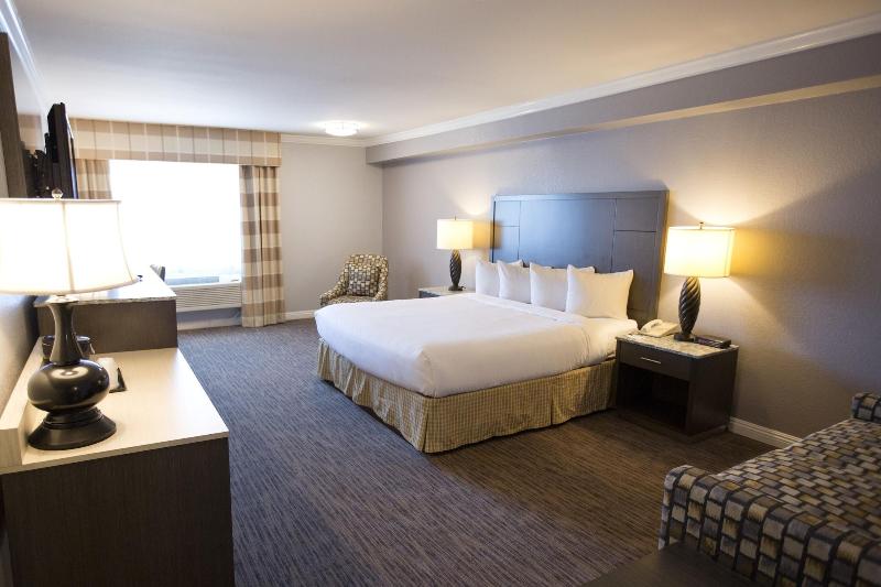 带大床的标准间, Amanzi Hotel, Ascend Hotel Collection