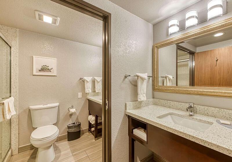 带大床的标准间, Amanzi Hotel, Ascend Hotel Collection