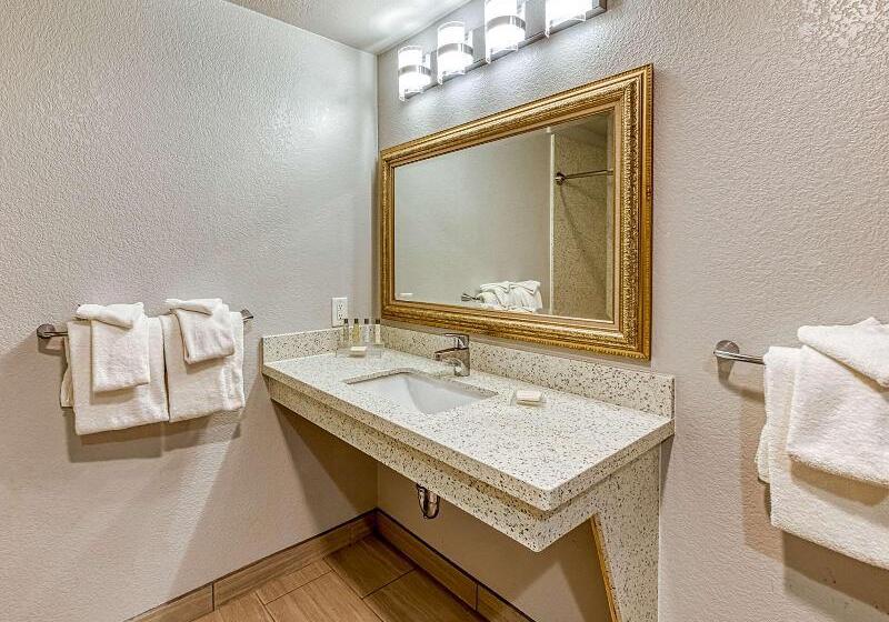 适合残疾人使用的标准间, Amanzi Hotel, Ascend Hotel Collection