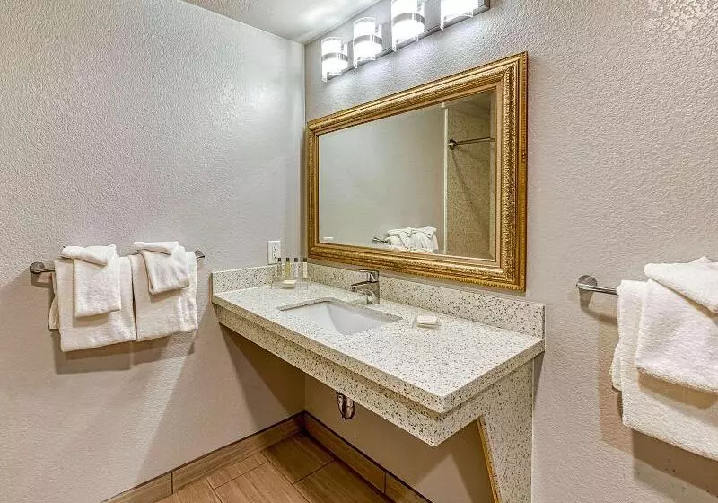 اتاق استاندارد برای معلولان, Amanzi Hotel, Ascend Hotel Collection