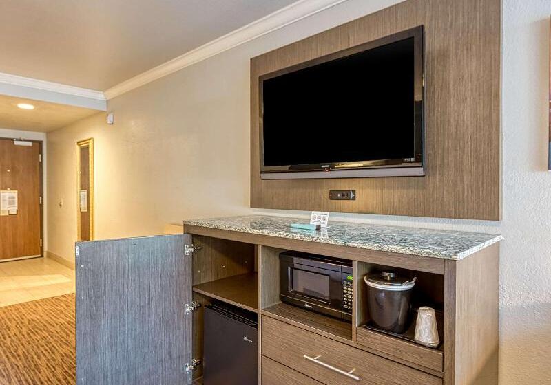 适合残疾人使用的标准间, Amanzi Hotel, Ascend Hotel Collection