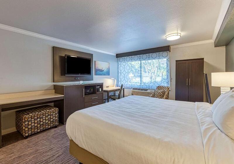 适合残疾人使用的标准间, Amanzi Hotel, Ascend Hotel Collection