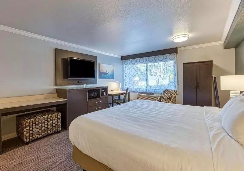 اتاق استاندارد برای معلولان, Amanzi Hotel, Ascend Hotel Collection