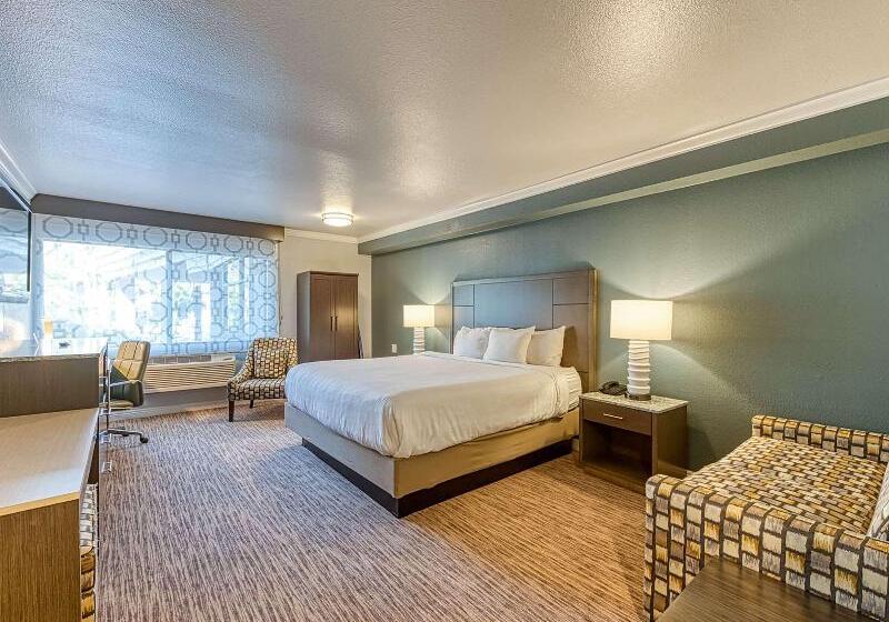 适合残疾人使用的标准间, Amanzi Hotel, Ascend Hotel Collection