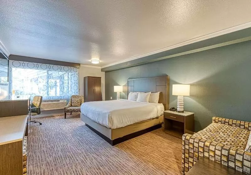 اتاق استاندارد برای معلولان, Amanzi Hotel, Ascend Hotel Collection