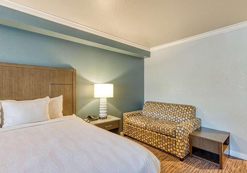 适合残疾人使用的标准间, Amanzi Hotel, Ascend Hotel Collection