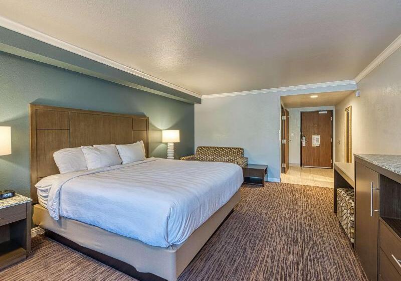 适合残疾人使用的标准间, Amanzi Hotel, Ascend Hotel Collection