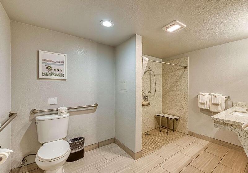 适合残疾人使用的标准间, Amanzi Hotel, Ascend Hotel Collection