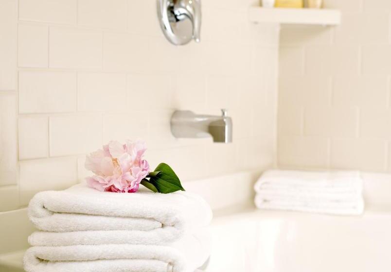 Студия Стандарт, Ayres Lodge Alpine