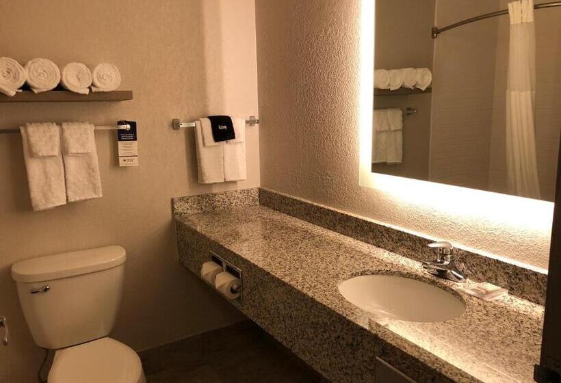 غرفة قياسية سرير كينج, Best Western Eau Claire South