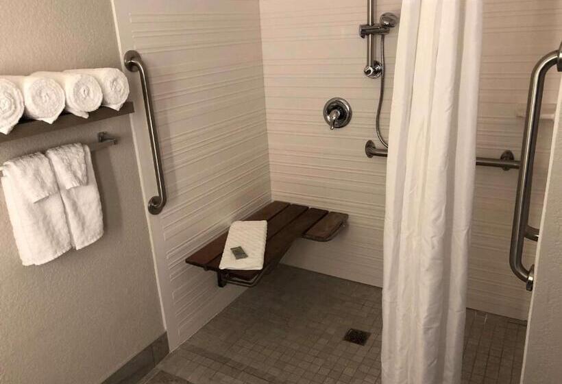 غرفة قياسية سرير ملكى لذوى الإحتياجات الخاصة, Best Western Eau Claire South