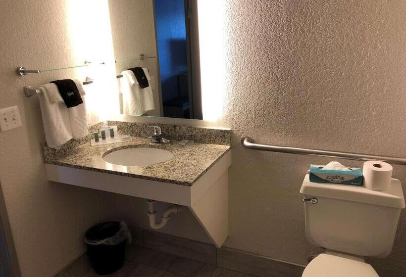 适合残疾人使用的标准间, Best Western Eau Claire South