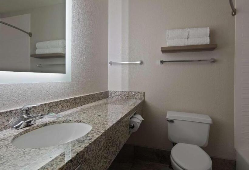 残疾人使用的带特大床的标准间, Best Western Eau Claire South