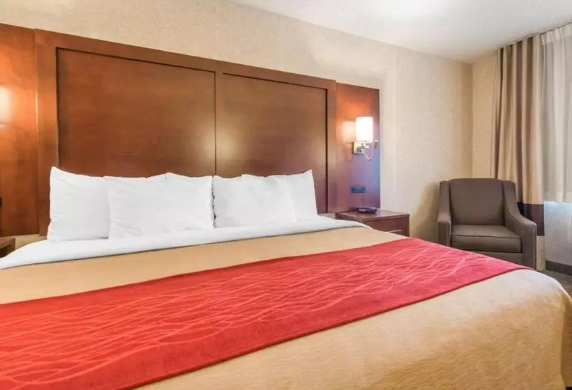 اتاق استاندارد با تخت بزرگ, Comfort Inn North  Air Force Academy Area